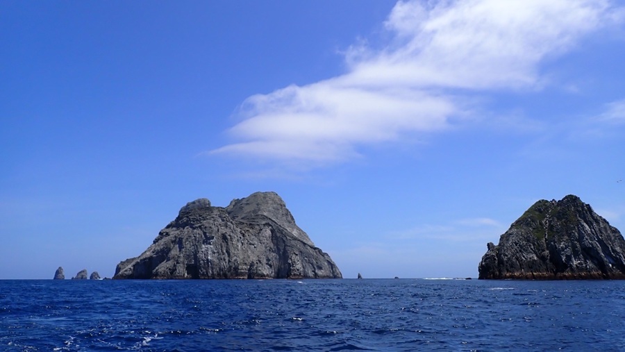 Colombia avanza en el conocimiento científico de la Isla Malpelo