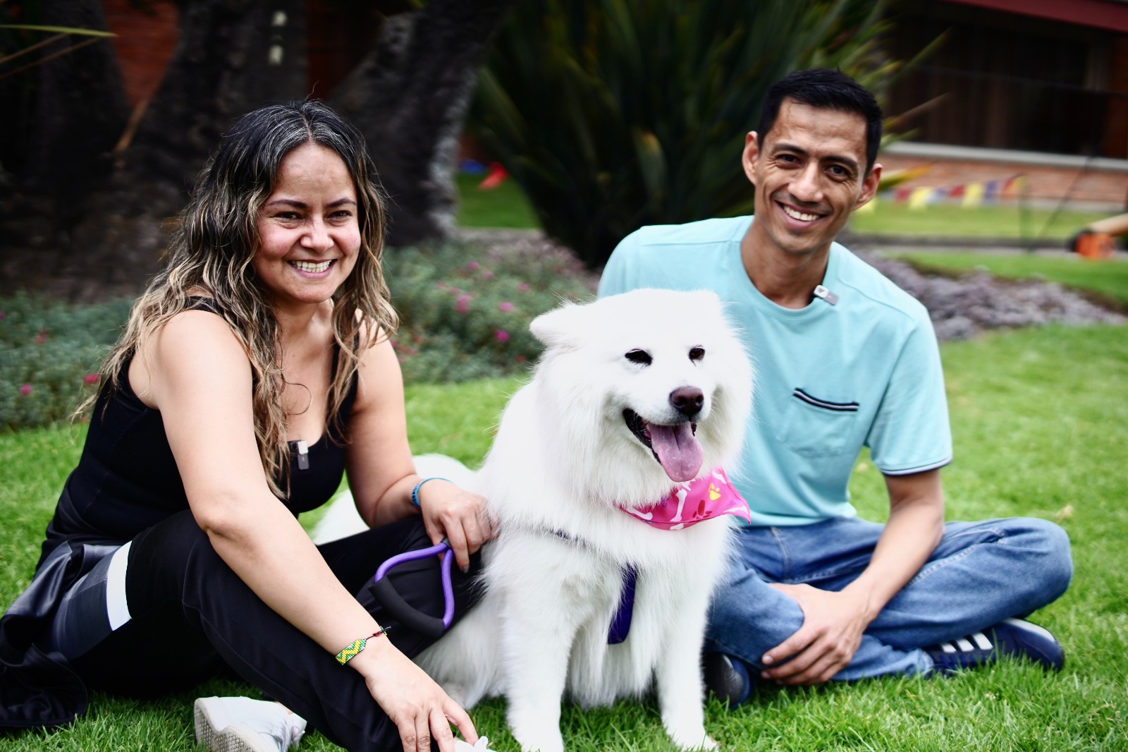 Minambiente amplía consulta ciudadana del Programa Nacional de Esterilización de Perros y Gatos