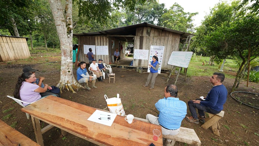 Abierta consulta pública para revisar garantías ambientales en programas que enfrentan la deforestación