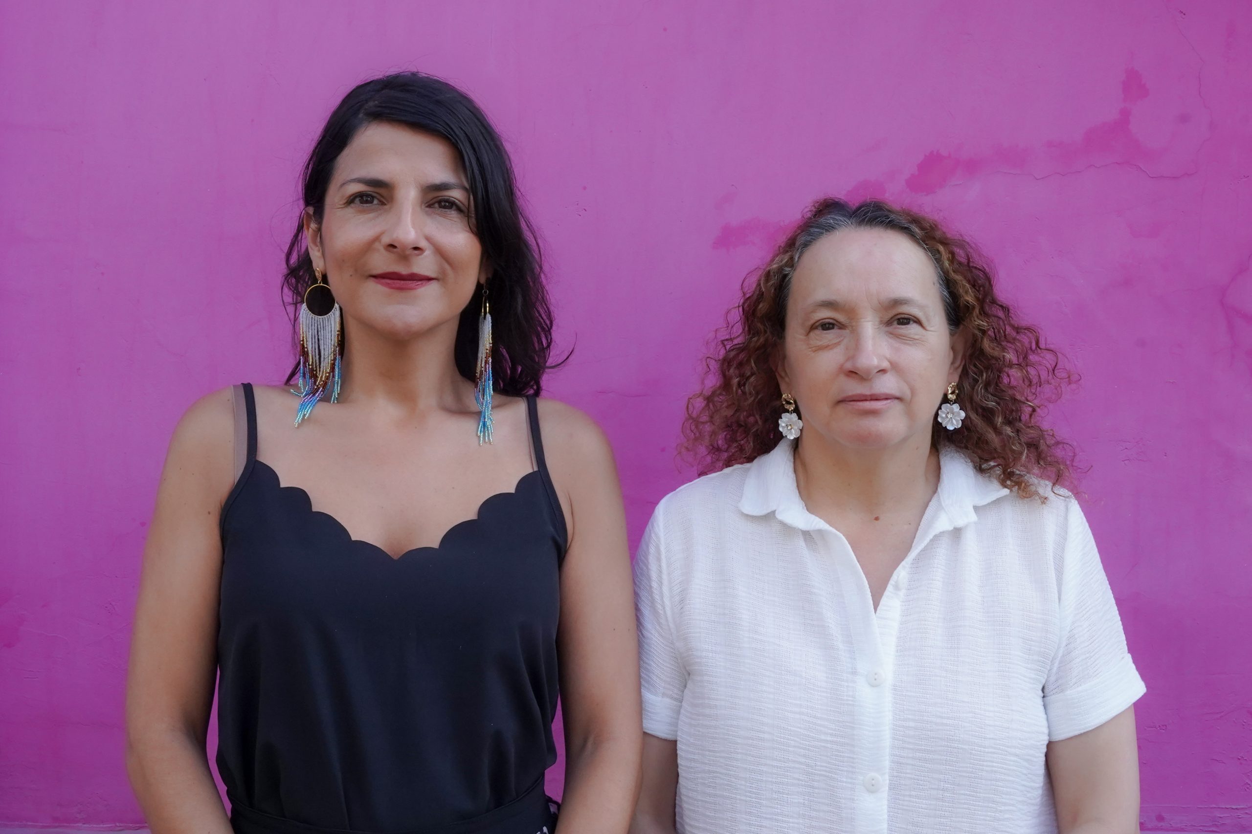 Luz Dary Carmona se posesiona como viceministra de Ordenamiento Ambiental del Territorio