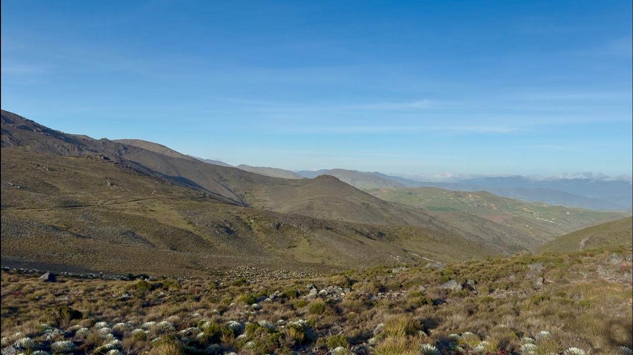 En 2025, Colombia logró grandes avances en la protección de sus páramos