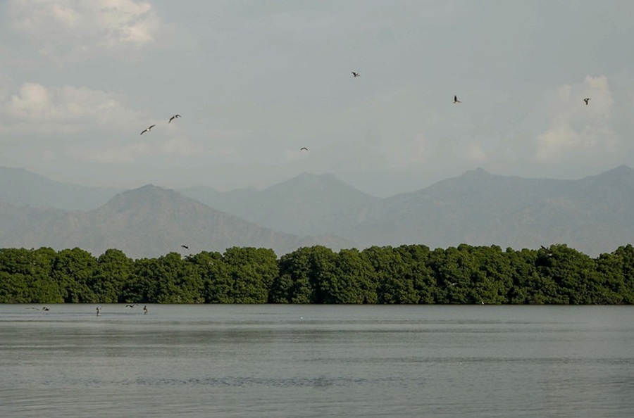 Con éxito arrancaron mesas técnicas de validación del 7° Informe Nacional ante el CDB