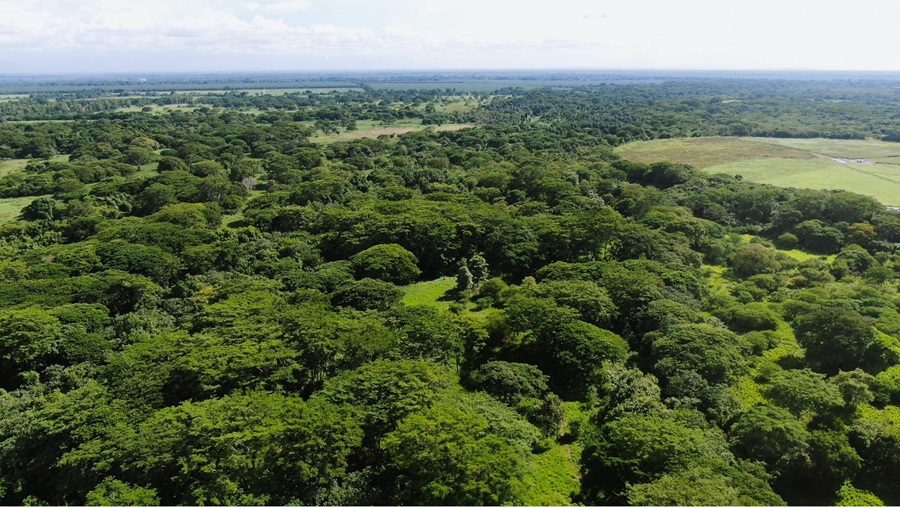 En consulta resolución que busca equidad, bienestar rural y conservación en reservas forestales