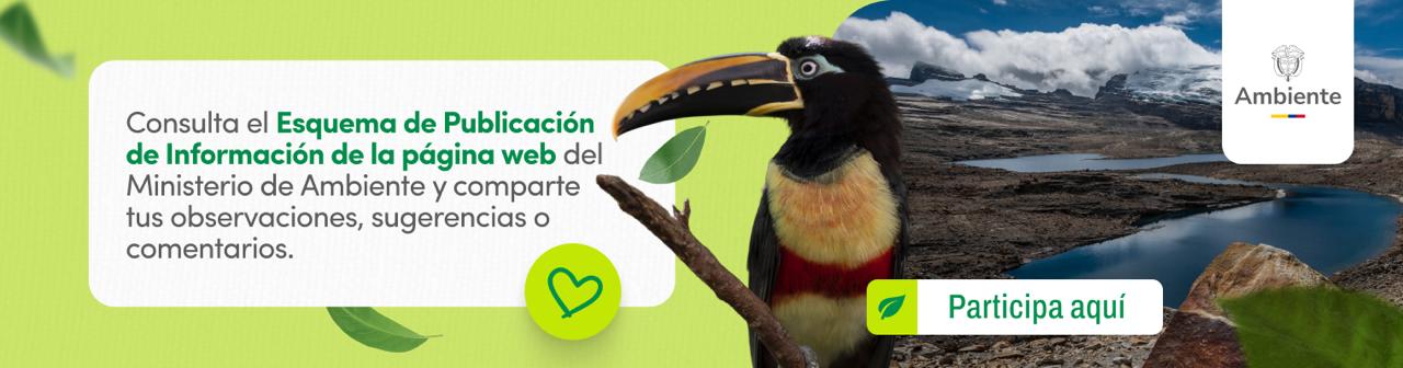 Esquema de publicación