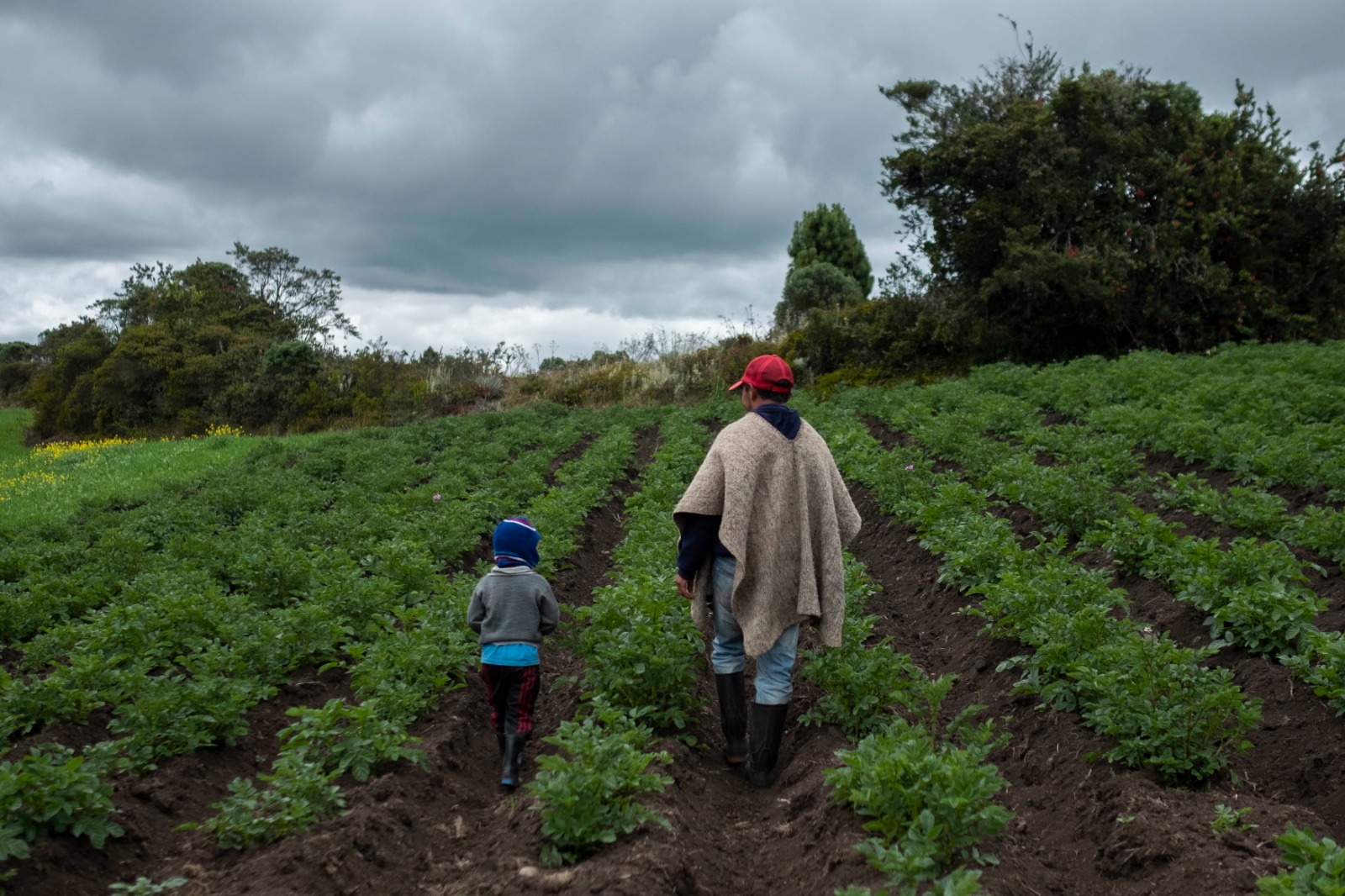 En consulta pública, proyecto para definir actividades agropecuarias sostenibles en páramos
