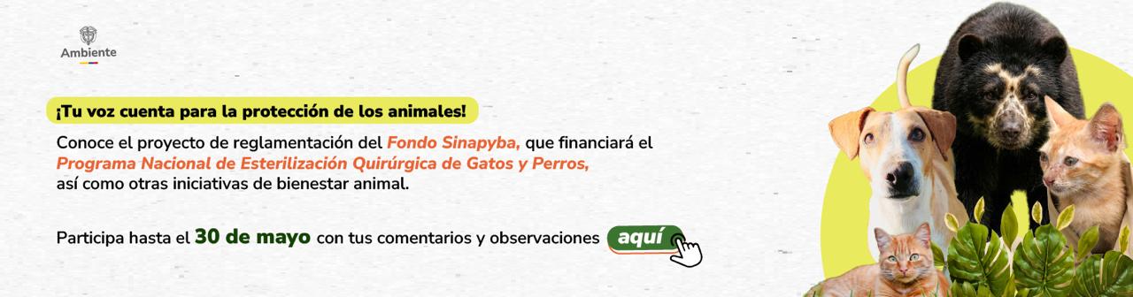 esterilizacion sinapyba