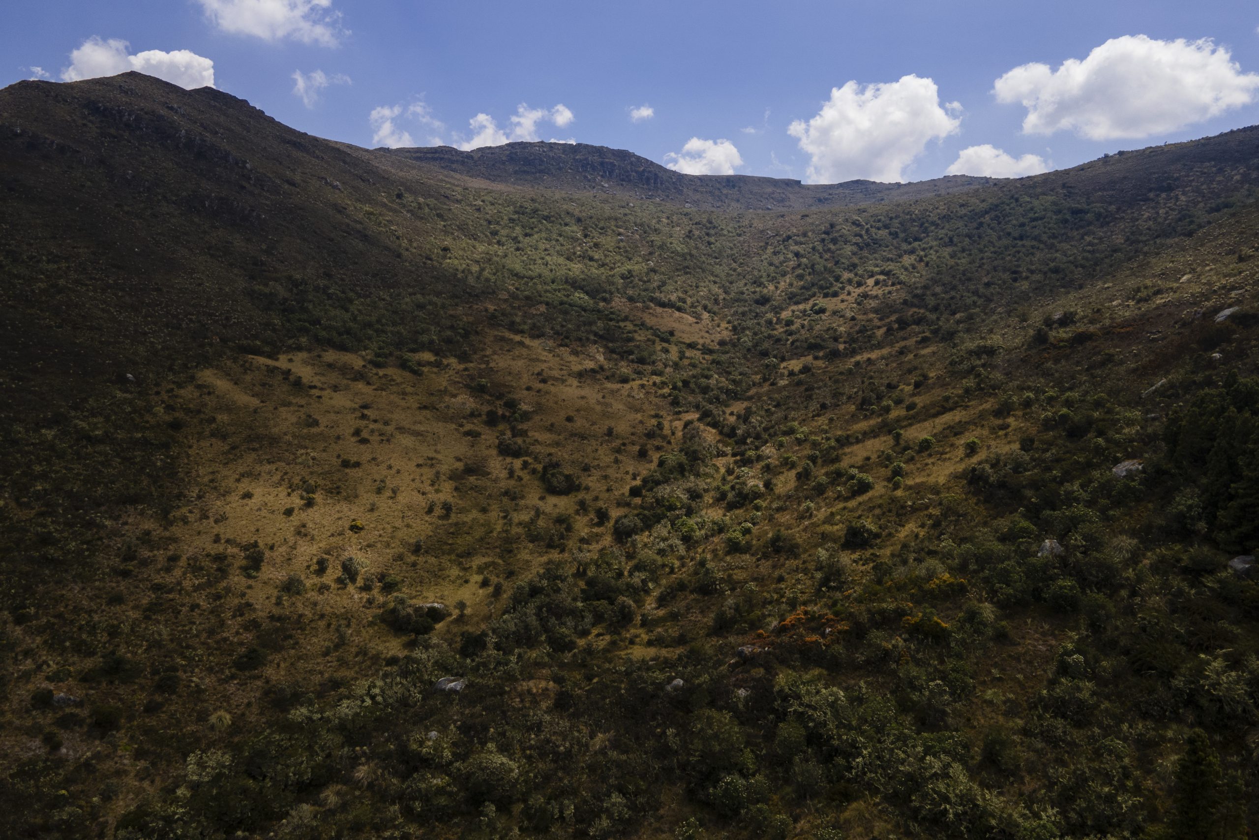 MinAmbiente supera el 50 % de avance en la concertación  para delimitar páramo Cruz Verde-Sumapaz