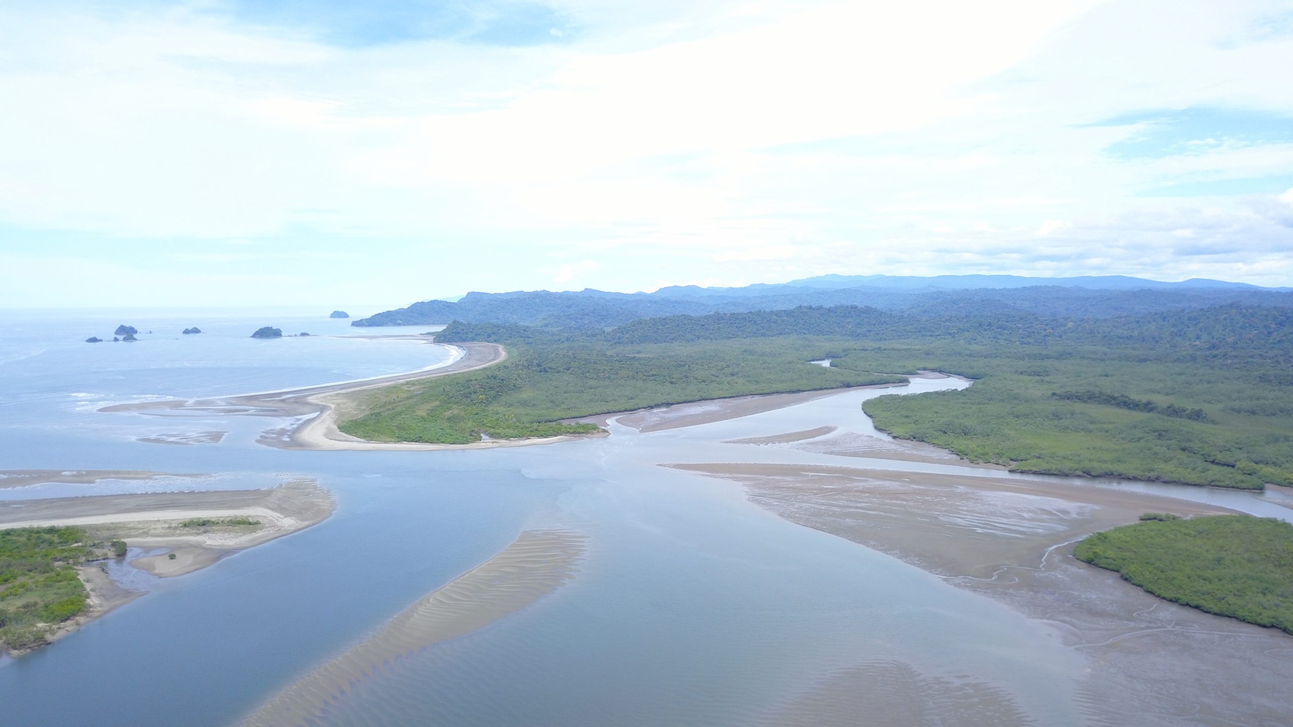 Foto 1. Manglares en el Golfo de Tribugá, municipio de Nuquí - Chocó. Fuente: Héctor Tavera, 2023.