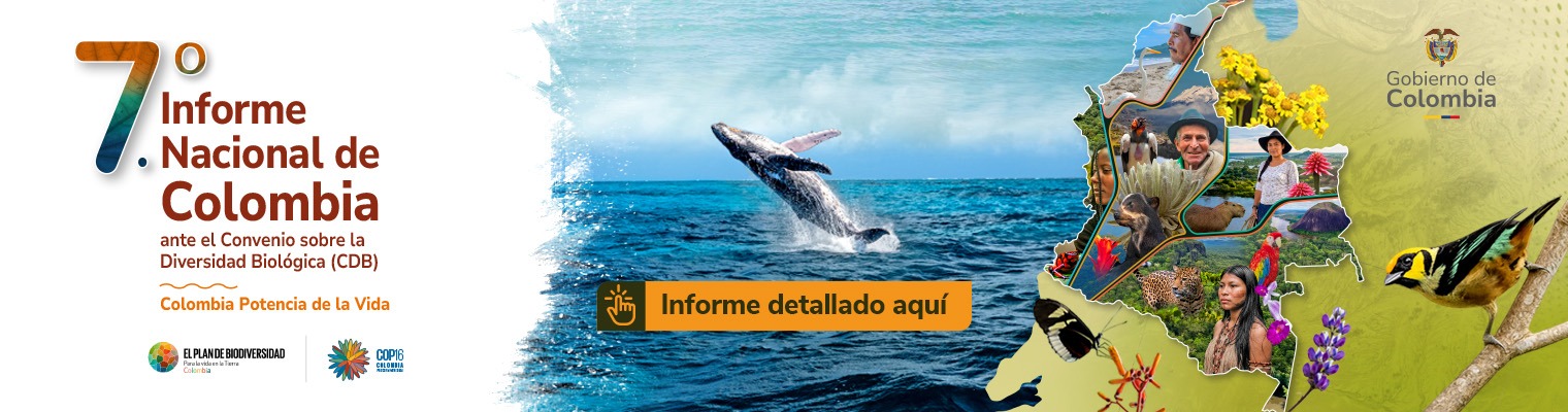 Informe Nacional de Colombia