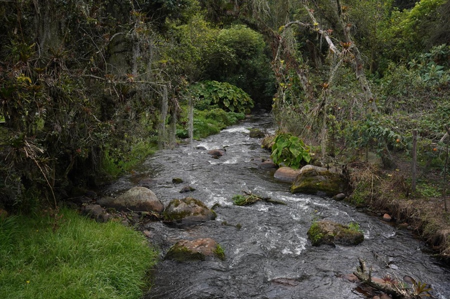 Gobierno modifica normativa de Tasa por Utilización de Agua incorporando principios de justicia ambiental