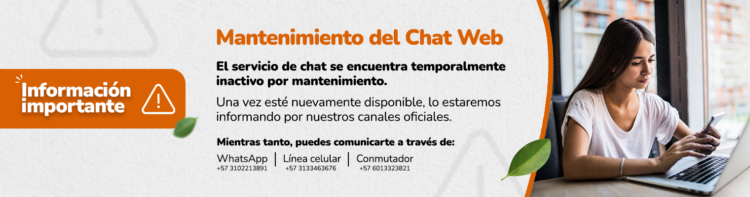 Banner-fallo-de-chat-web