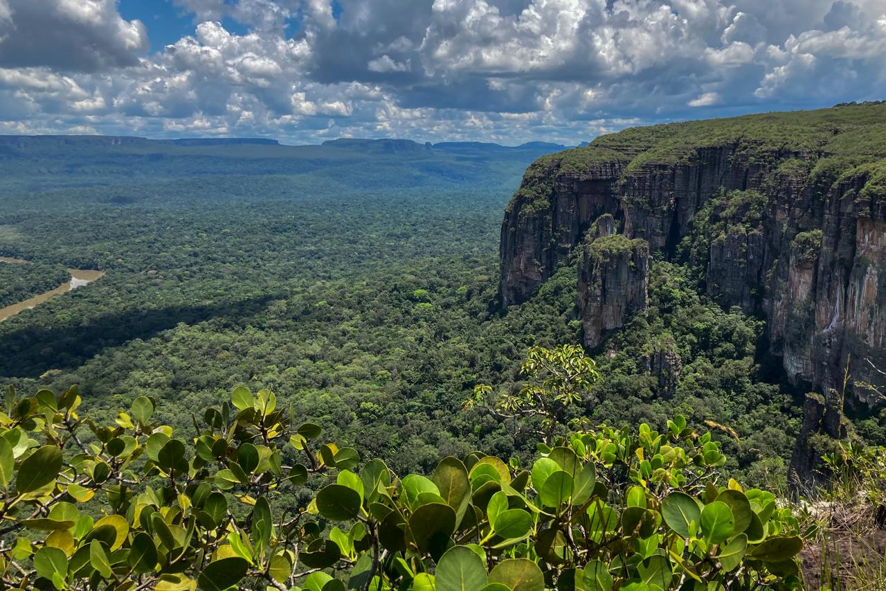 Gobierno Petro blinda la Amazonía con histórica declaratoria de Reserva de Recursos Naturales Renovables