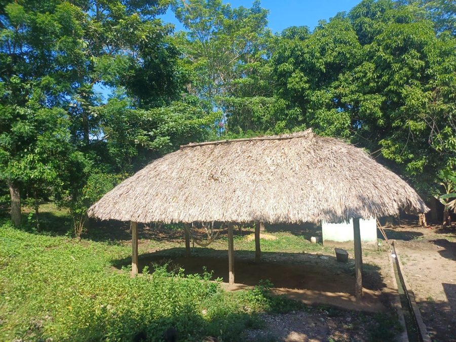Minambiente protege el uso tradicional de la palma amarga en el Caribe colombiano