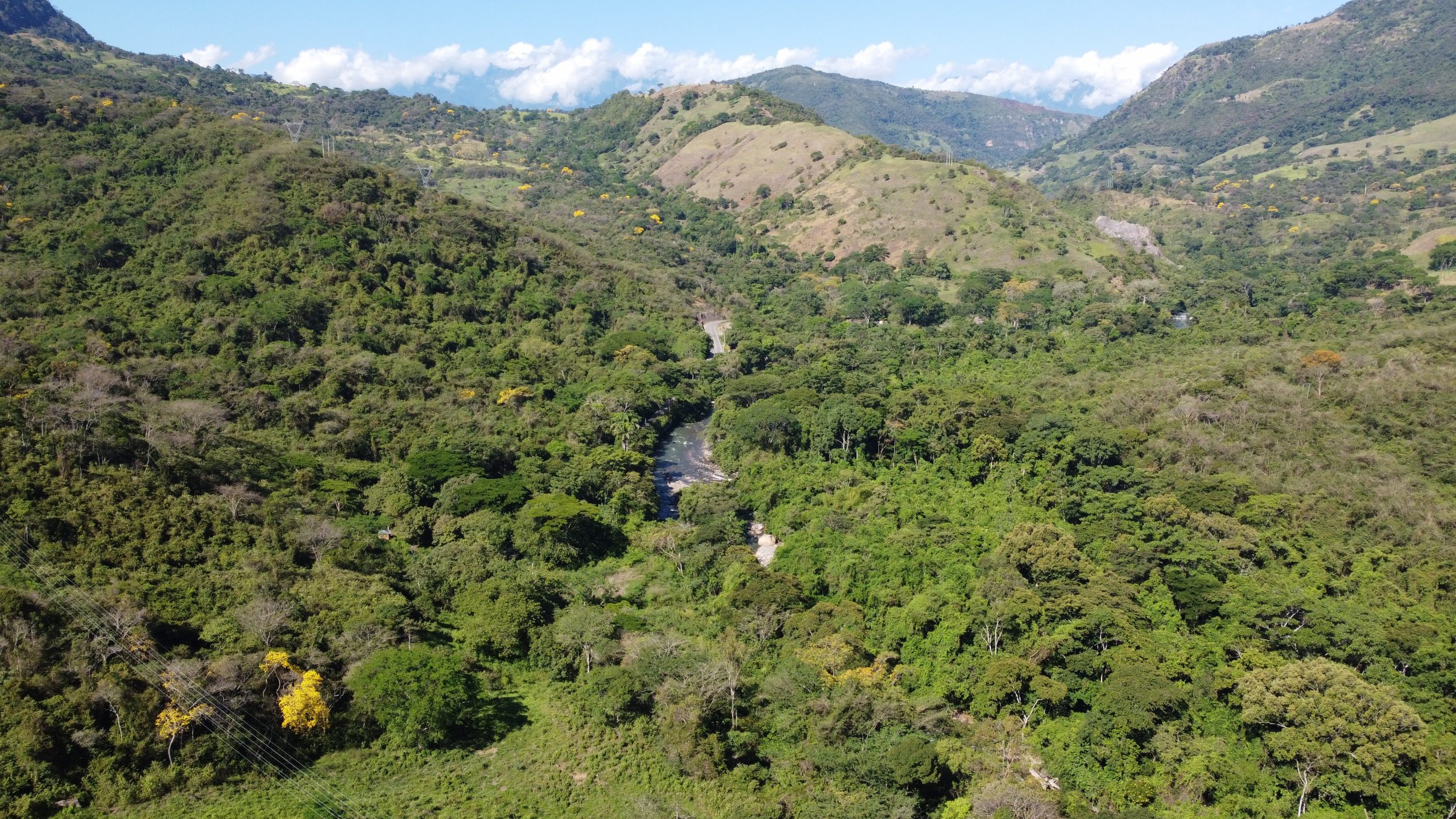 Gobierno salda deuda histórica para la protección del Páramo de Santurbán