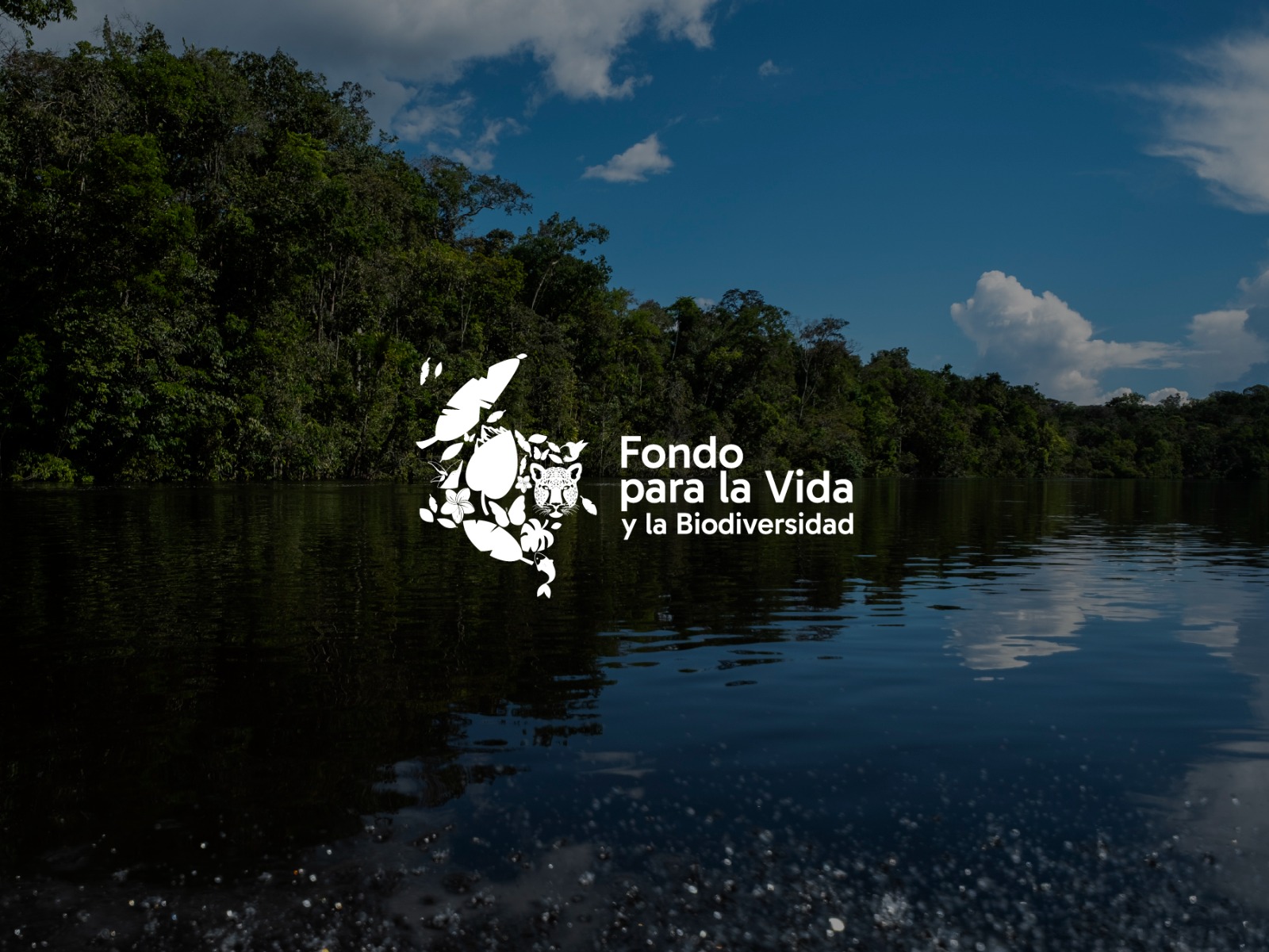 Gobierno De La Espriella anuncia auditoría al Fondo para la Vida y la Biodiversidad