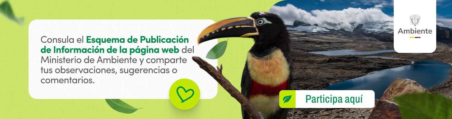 Esquema de publicación