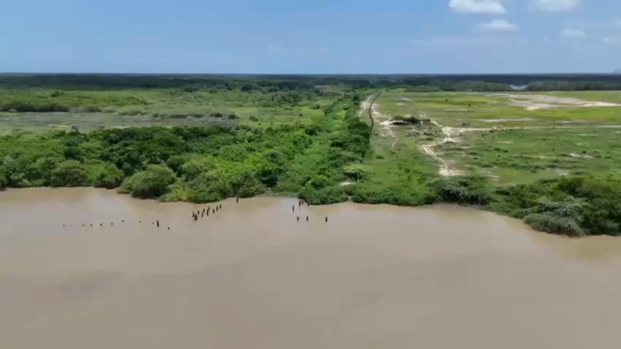 MinAmbiente anuncia recuperación del caño Clarín Viejo para devolverle agua a la Ciénaga Grande
