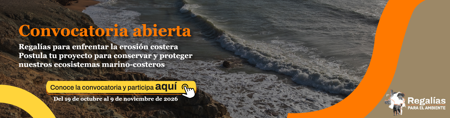 Convocatoria Regalías contra la erosión costera