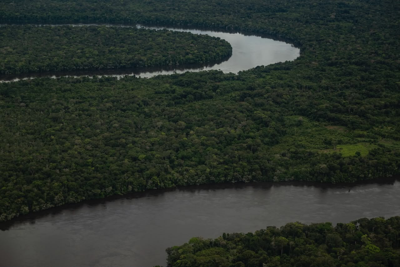MinAmbiente revoca resolución de la Amazonía para garantizar participación de comunidades negras